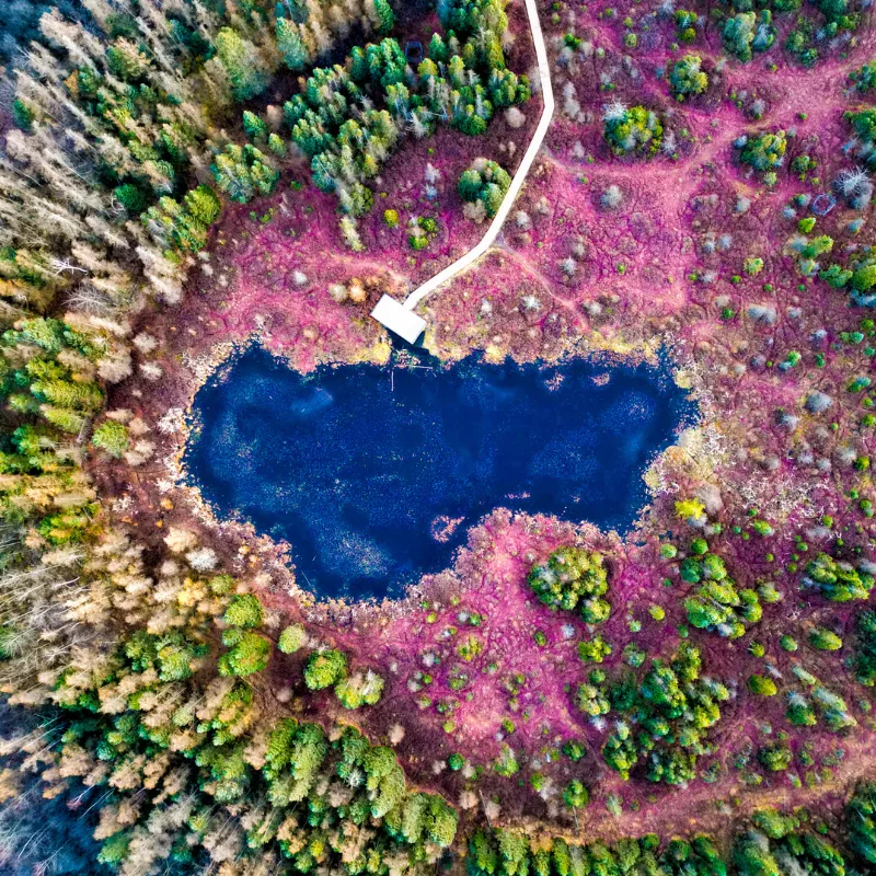 Top-down aerial view of Sifton Bog's kettle bog waters and surrounding forest