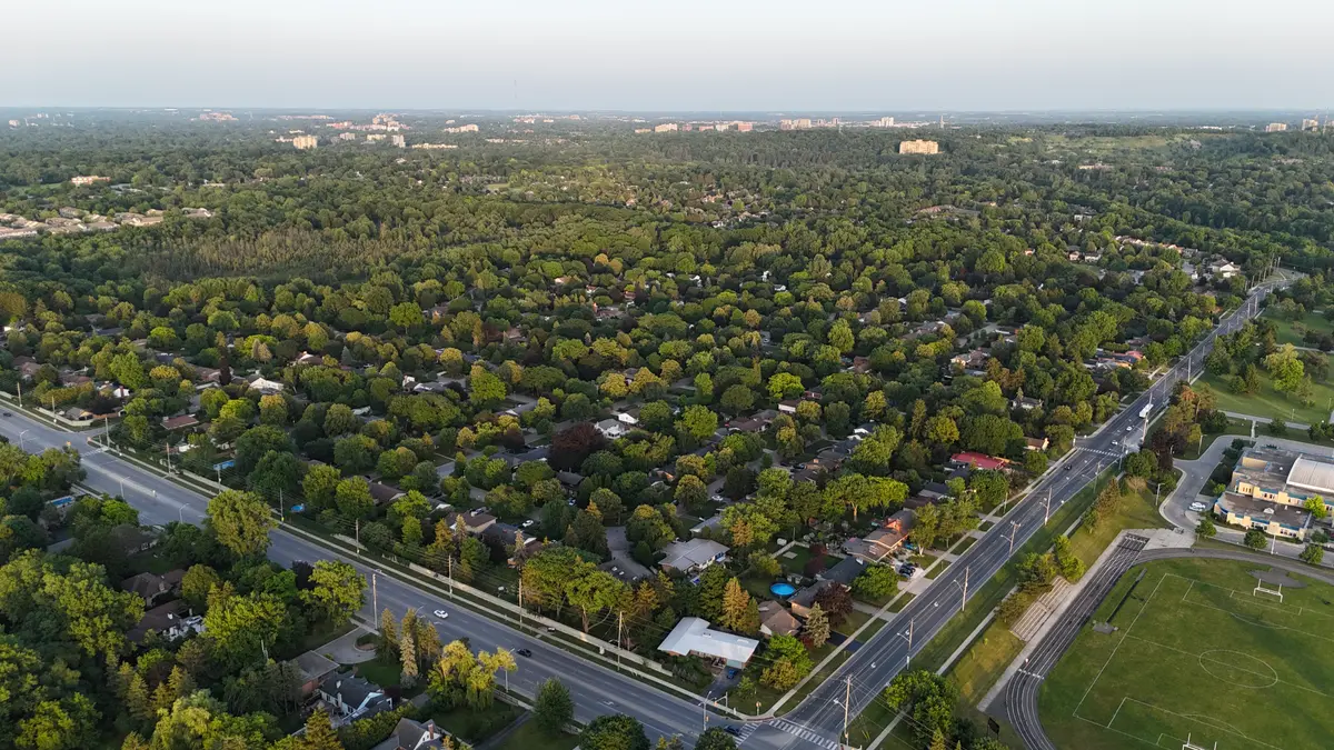 Aerial drone view of Oakridge's mature tree canopy today, London Ontario